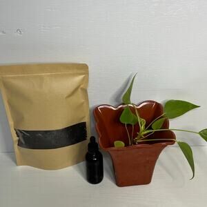 Rooted Anthurium Grow Kit w/ Plant Elixir & Vermicompost